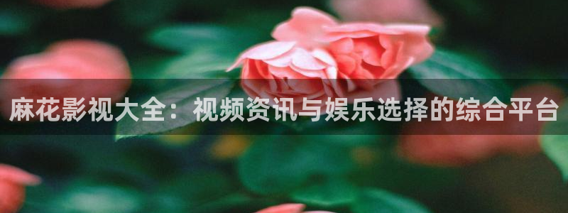 6080新视觉在线观看